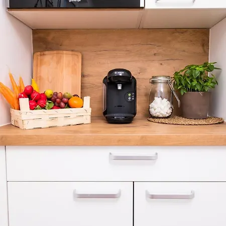 公寓 Franzls Panorama 巴德加斯坦